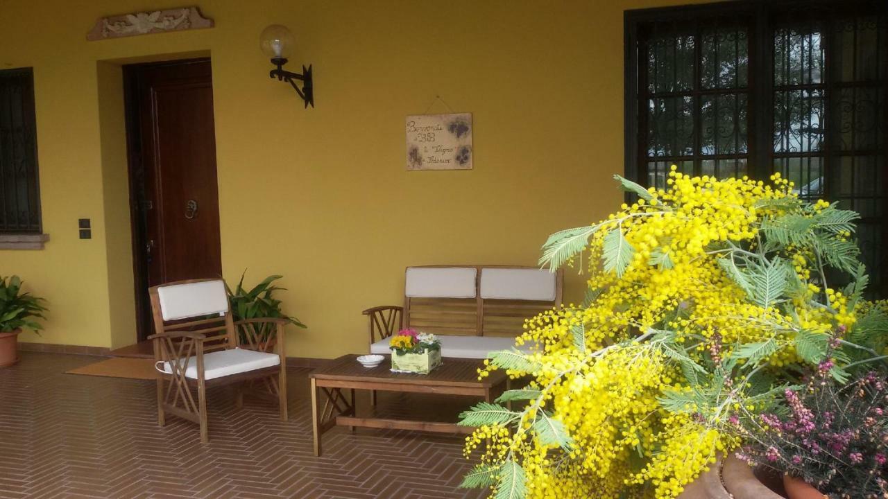 B&B La Vigna Di Federico Rubano Exterior photo