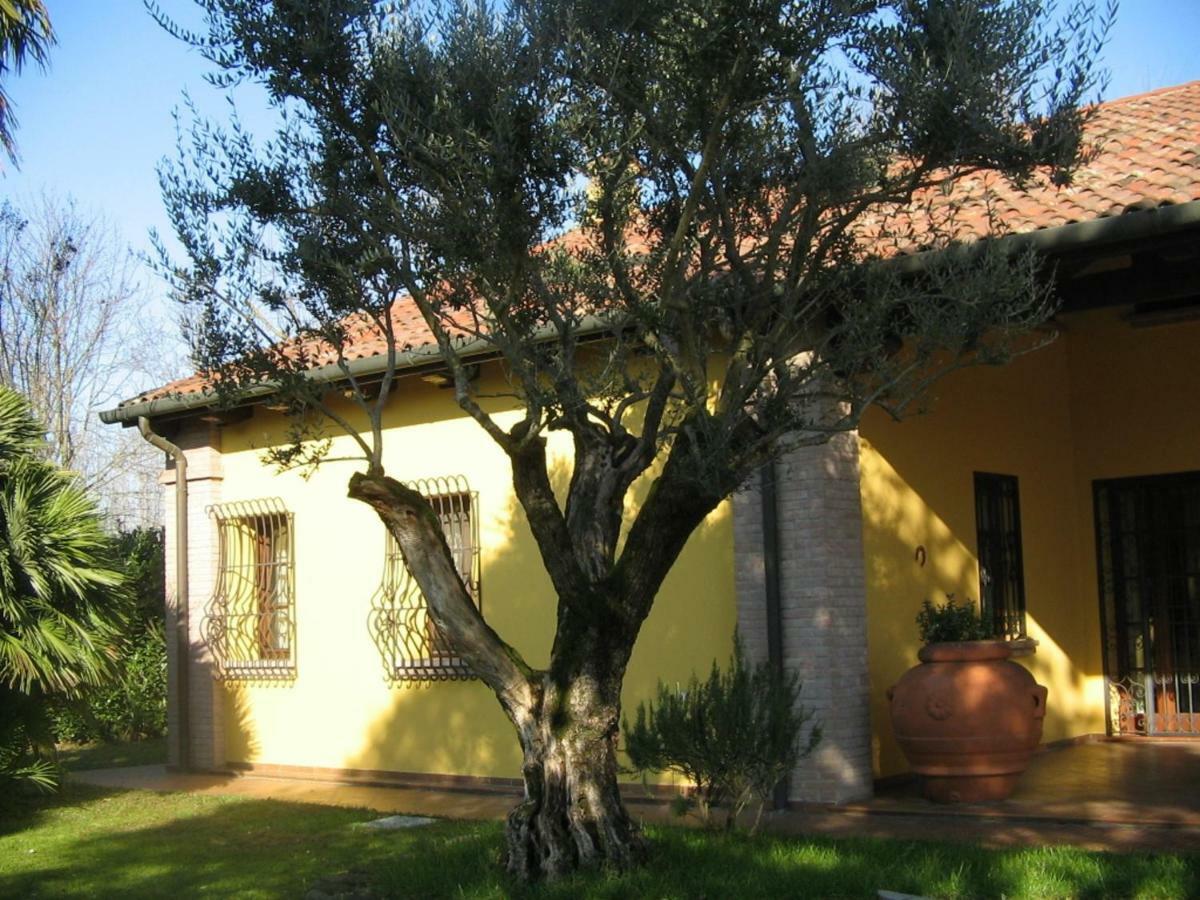 B&B La Vigna Di Federico Rubano Exterior photo