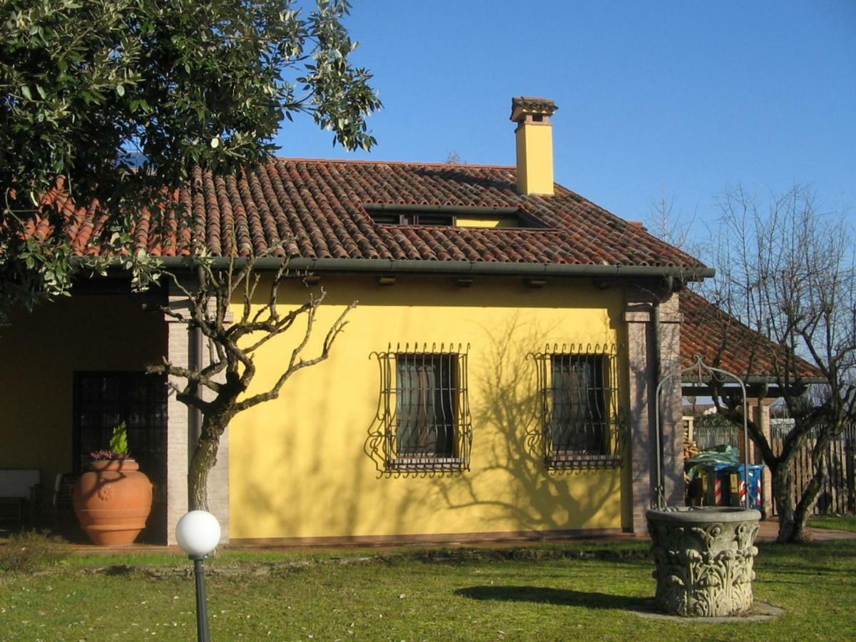 B&B La Vigna Di Federico Rubano Exterior photo
