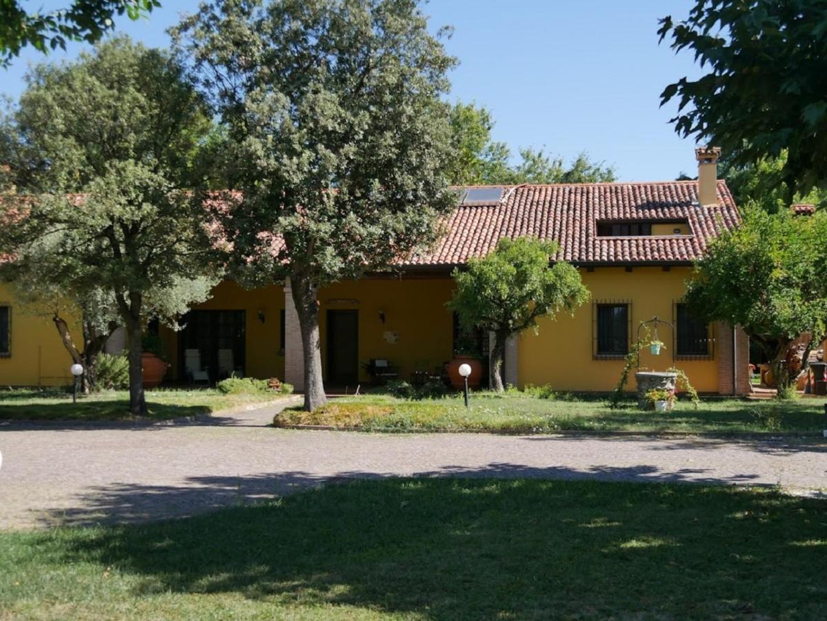 B&B La Vigna Di Federico Rubano Room photo